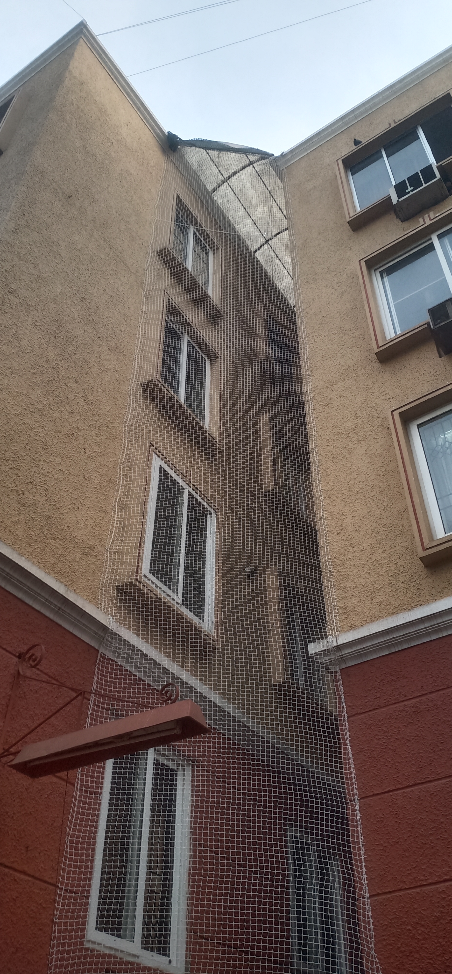 Anti Bird Nets In hyderabad